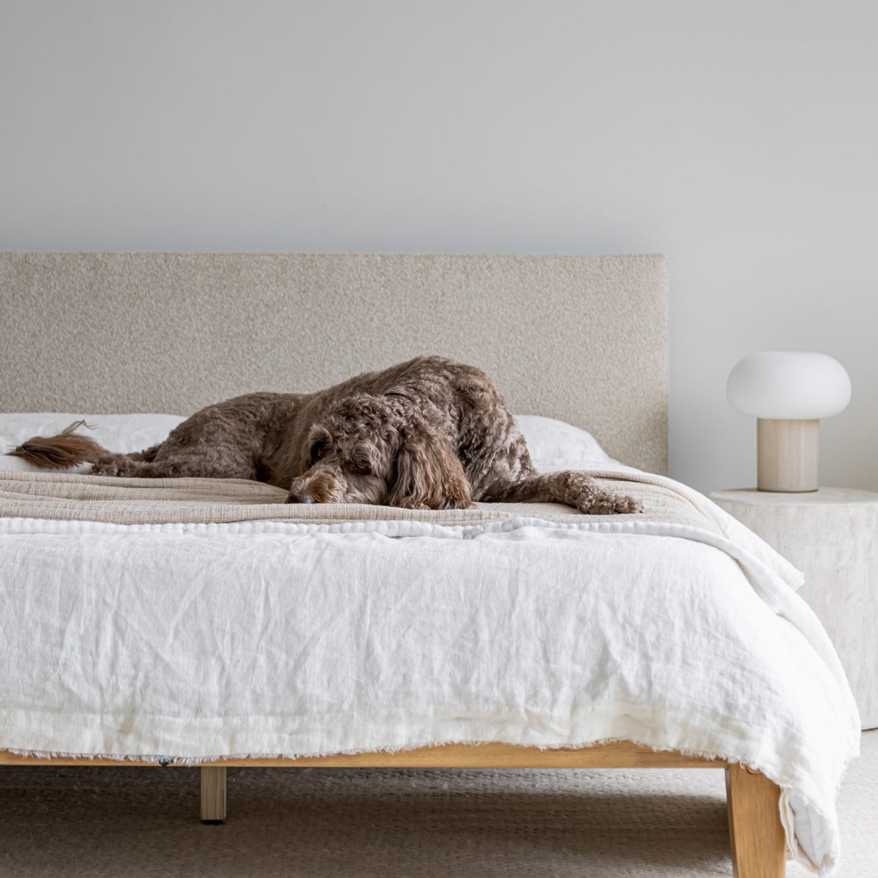 Leonora Tool-Free Bed