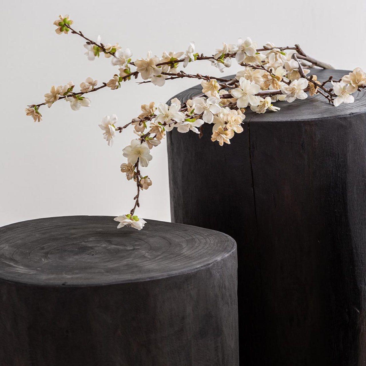 Natura Collection