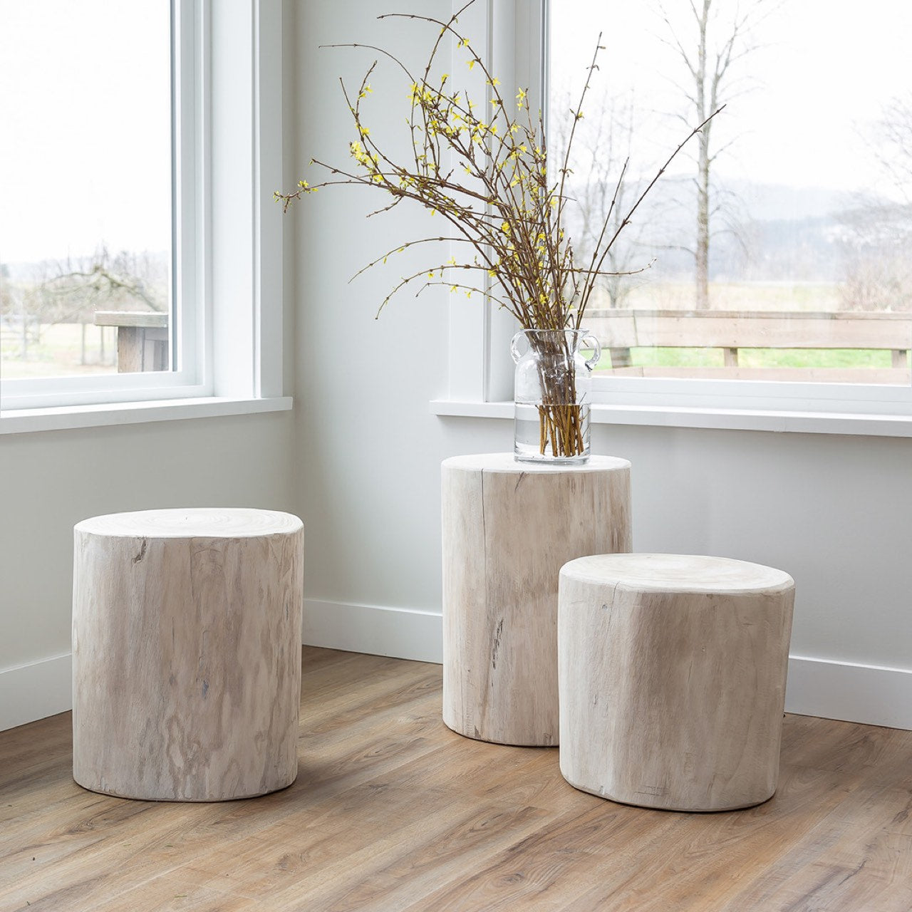 Natura Collection