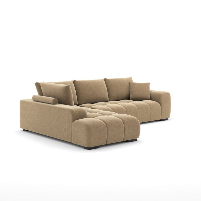 Nancy Sectional view