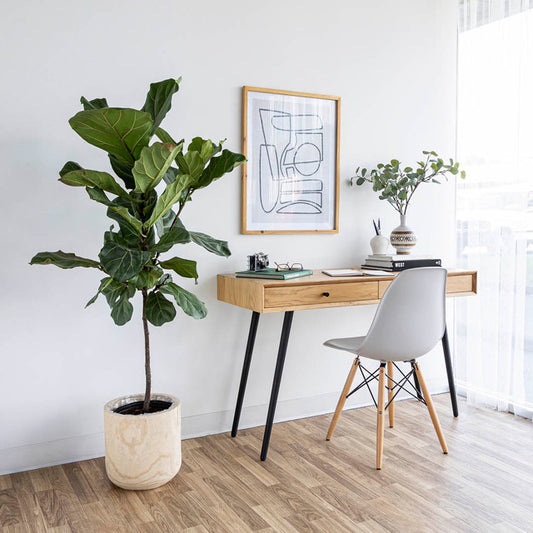 Gerald Desk