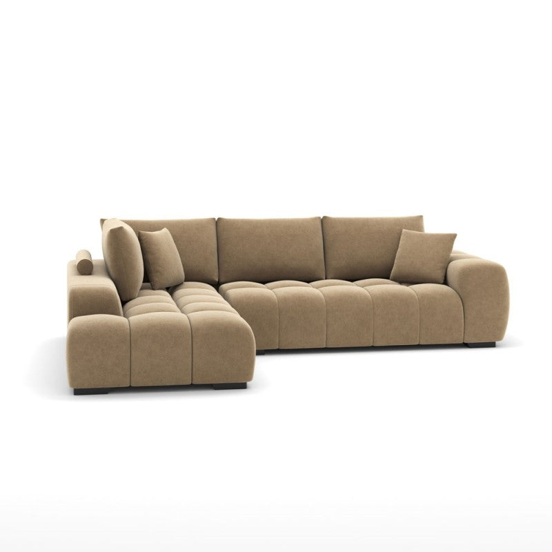 Nancy Sectional view