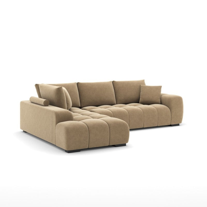 Nancy Sectional view